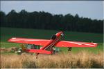 bison27_0003