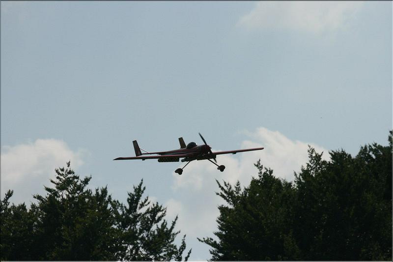 bison27_0005