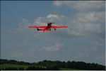 bison27_0009