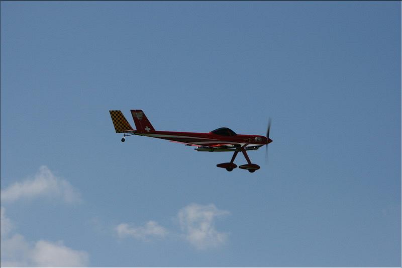 bison27_0011