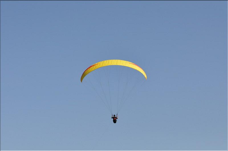 couroux_2009_35