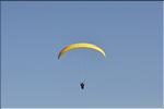 couroux_2009_35