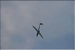 Jet Power 09 Speyer 212