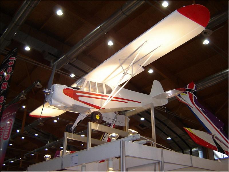 sinsheim_2009_075