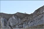 axalp_2010_002