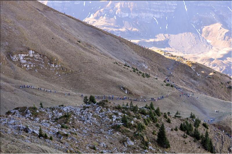 axalp_2010_004