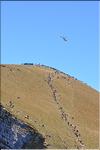 axalp_2010_011