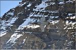 axalp_2010_050
