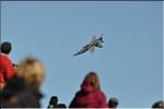 axalp_2010_054