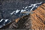 axalp_2010_082