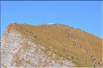axalp_2010_180