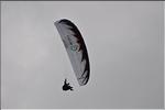 divers_11626