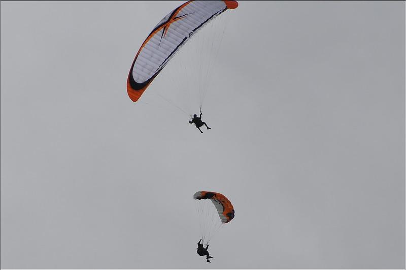 divers_11685