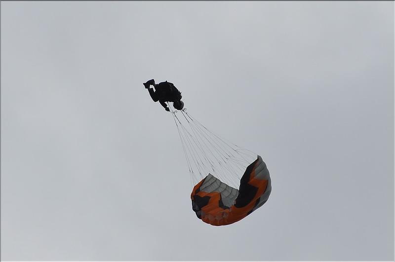 divers_11697