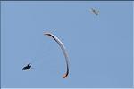 divers_11725