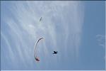 divers_11726