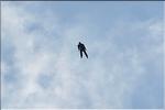 divers_11731