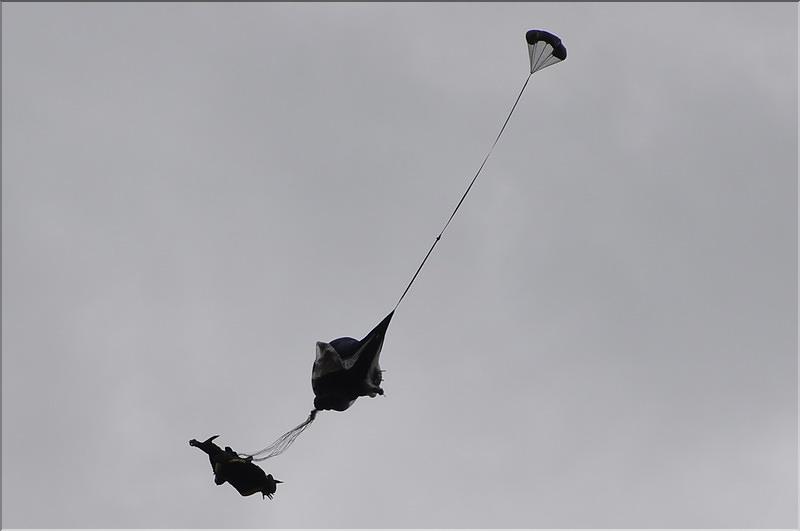 divers_11772
