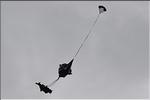 divers_11772