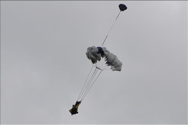 divers_11775