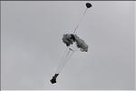 divers_11775