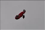 divers_11836