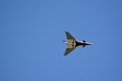 DSC_9289