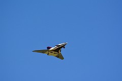 DSC_9290
