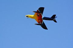 DSC_9347