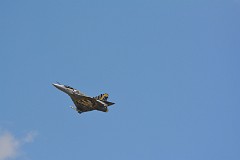 DSC_9506