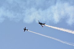 DSC_0222