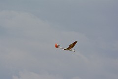 DSC_0156