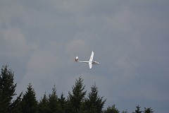 DSC_0224