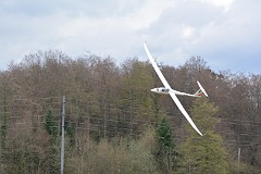 DSC_0331