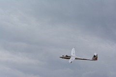 DSC_0341