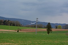 DSC_0342