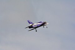 DSC_9501