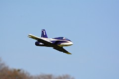 DSC_9523