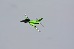 DSC_9616