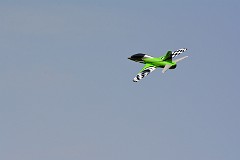 DSC_9618