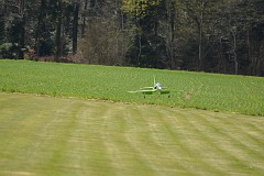 DSC_9784