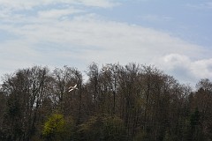 DSC_9830