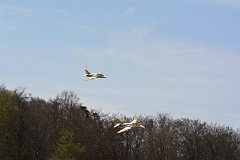 DSC_9836