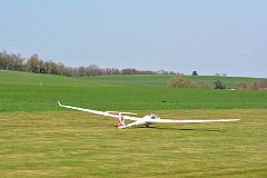 DSC_9912