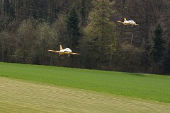DSC_9952