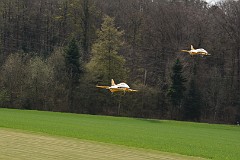DSC_9953