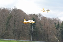 DSC_9956