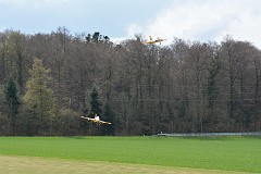 DSC_9980