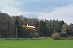 DSC_9985