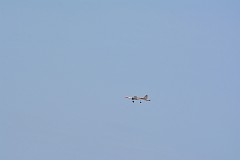 DSC_4930